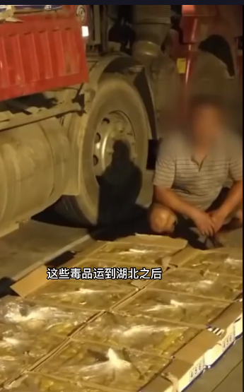 从缅甸拉香蕉到湖北,被查出有违禁品,司机并不知情,这种情况我们应该怎么避免?