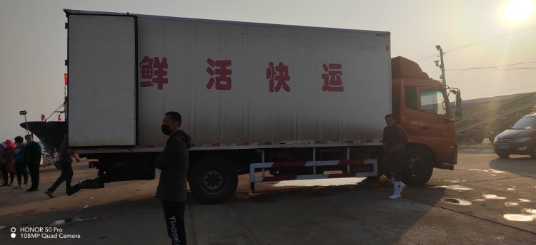 今年的鲜活快运行情还可以吗?